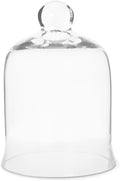 Glass Cloche Bell Jar - Plant Terrarium - Centerpiece Dome Display (7.5" x 5")