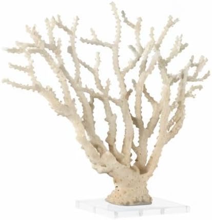 Deco 79 Polystone Coral Decorative Sculpture Home Decor Statue with Clear Acrylic Base, Accent Figurine 26" x 8" x 23", Cream