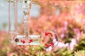 Aquario Neo Mixer - Inline Co2 Diffuser for Planted Aquarium (L-17MM)