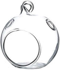 WGV Hanging Terrarium Globe, Width 2.25", Height 2.75", DIY Air Succulent Planter, Clear Glass Vase Orb with Flat Bottom, Candle Holder for Windowsill Outdoor Garden Decor, 6 Pieces Bulk