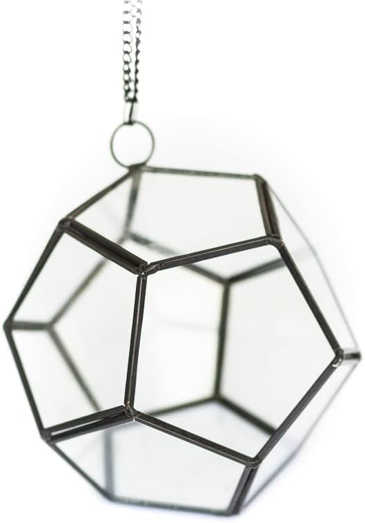Air Plant Shop Glass Pentagon Terrarium - Air Plant Tillandsia Holder - Live Tillandsia Succulent House Plant - Home and Garden Decor - Easy Care Indoor Outdoor Plants