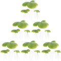 Amosfun 54pcs Fake Duckweed Aquarium Floating Plants Mini Light Green Floating Fish Plants Aquarium Tank Decor 1.57x1.57x3.54 Inch