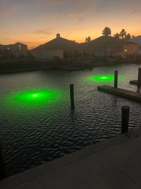 Barnacle Burning Lamps & Saltwater Approved 14,000 Lumens Each, Brilliant Green Double Lamp Underwater Fish Lights, with 50' Cords (28,000 Total Lumens)