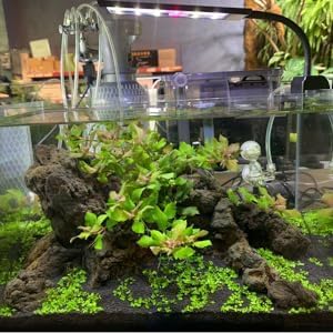 Aquarium Choice Clip Aquarium Light Small Fish Tank Light