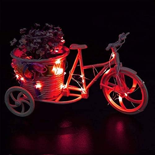 ANGMLN 10 Pack Valentine's Day Red Fairy Lights Battery Operated 9.8' 30 LED Mini Christmas String Lights for DIY Crafts Wedding Party Patriotic Ceremony Valentine's Day New Year Decoration