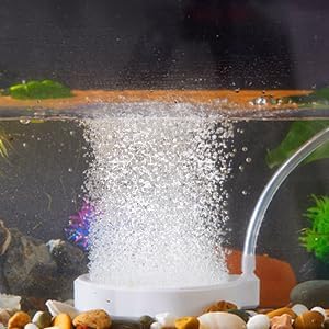 Rise Torrent Nano Air Stone with Case, Silent High-Oxygen Diffuser for Aquarium, Fish Tank & Hydroponics - 3 Inch White Small Bubble Diffuser Accessories (No Air Pump and Air Tube)