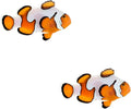 2-Pack Gladiator Ocellaris Clownfish, Live Saltwater Marine Aquarium Fish, Reef Safe, Captive Bred, Premium Designer for Community Tanks
