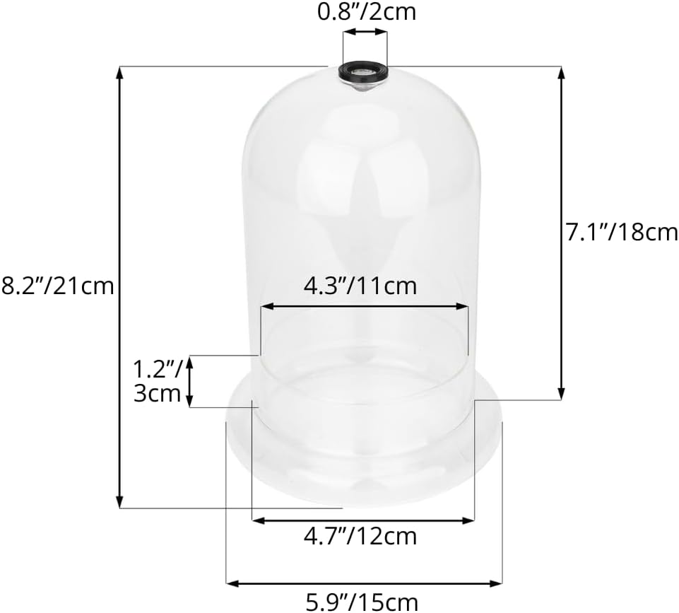 NCYP Glass Dome Cloche with Base and Air Hole - 5.9 x 5.9 x 8.2 Inches Indoor Tabletop Display Terrarium for Plant, Flower - Home Modern Decoration, Clear (No Plants)