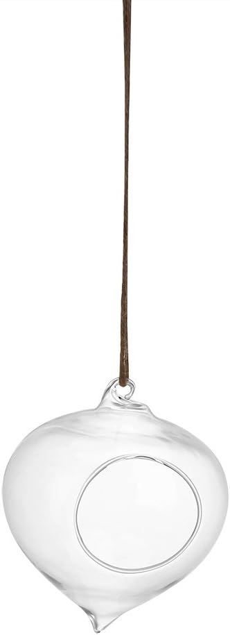 Wall Hanging Planter Terrarium Container, Teardrop Shaped Air Plant Holder, Succulents Hanging Glass Globes Oblate Flower Vase for Hydroponics Plants