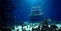 72X24IN Natural Underwater Aquarium Background, Pictures 3D Fish Reef Fish Tank Decoration Background, with 8 EVA Double-Sided Tape