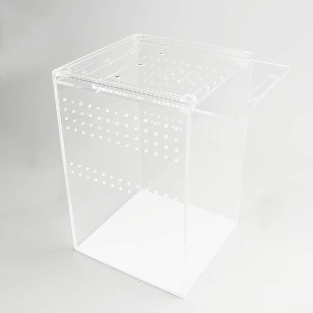 NANEEZOO Magnetic Acrylic Reptile Cage, 6"x6"x9" Tall Enclosure Transparent Reptile Breeding Box Terrarium Tank for Tarantula Scorpion Sling Isopods Invertebrates Insect Mantis