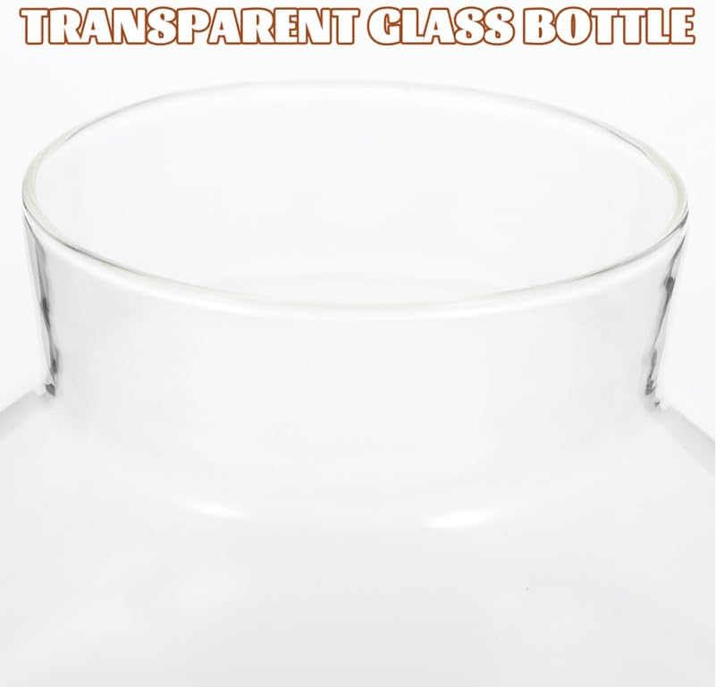 2pcs Round Glass Jar Terrarium Container Ball Succulent Plant Terrarium Buds Vases Easter Candy Jar Message Wishes Bottle with Cork Lid for Plant 15cmx16
