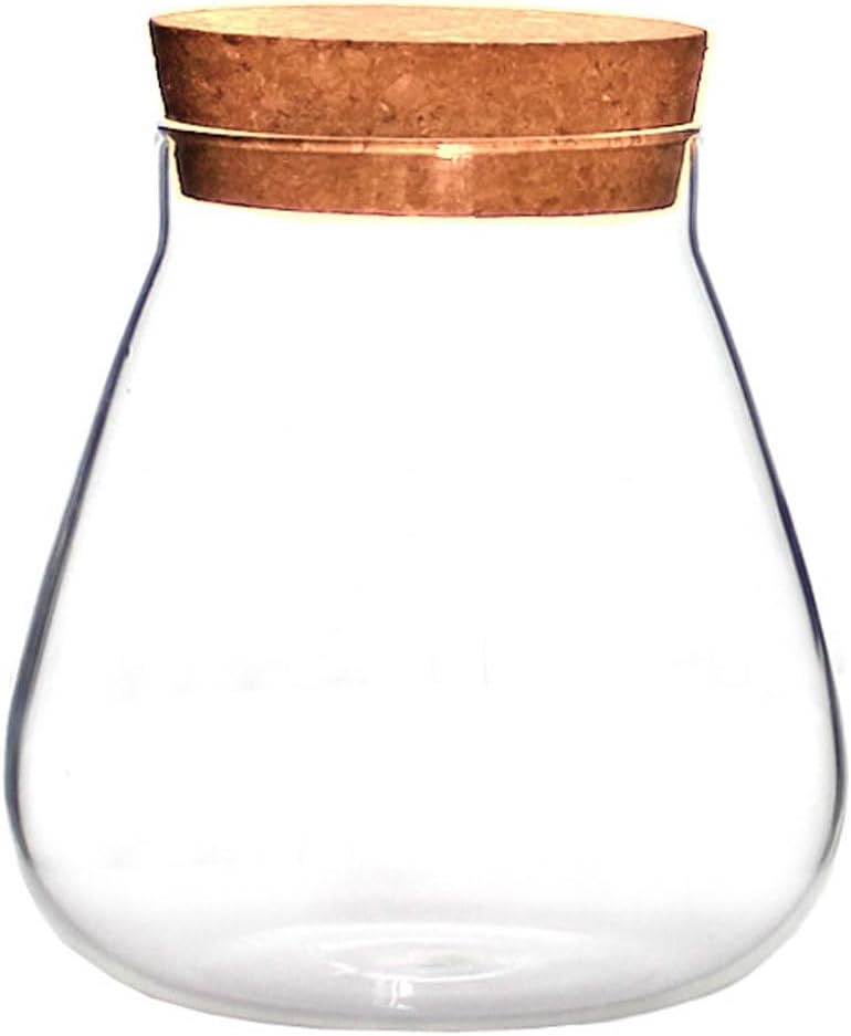 HOMSFOU Round Glass Jar Plant Terrarium Tabletop Succulent Planter balls Buds Vase Wish Bottle Candy Cookie Jar Canister with Cork Lid for Fern Air Plant