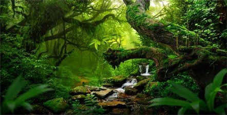 30X18IN Tropical Forest Green Huge Tree Reptile Habitat Aquarium Background, Green Natural Landscape Rainforest Fish Tank Decorations Background, Nature Art Terrarium Background