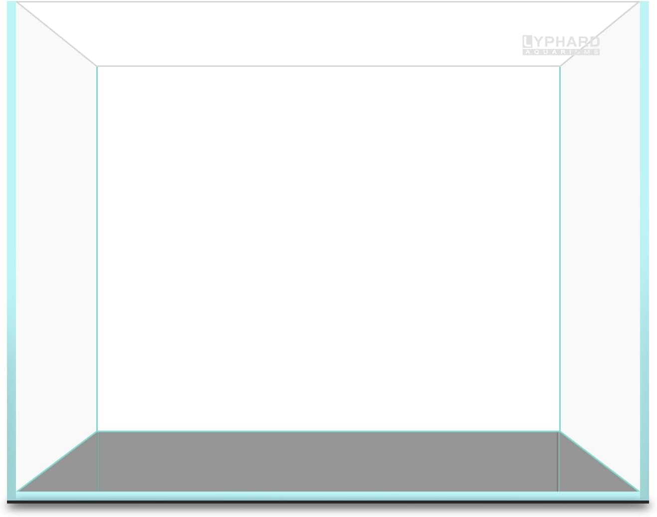LYPHARD AQUARIUMS 2.5 Gallon Rimless Aquarium Tank, Ultra Clear Low Iron Nano Fish Tank for Betta Shrimp, L11.8×W5.5×H9.8 Glass Thickness 5mm with EVA Foam Leveling Mat