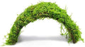 SubstrateSource Live Planted Decor - Christmas Moss (Vesicularia montagnei) on Coconut Shell Bridge - Low Light, Green Freshwater Aquatic Plant, Foreground Aquarium Placement for Aquascaping - 1 Pack