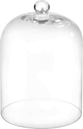 14" Tall Large Handmade Thick And Sturdy Glass Cloche Dia 9.8" H 13.7", Thick & Sturdy, For Terrarium, Trinkets, Figurines, LED Light String. Cloche Glass Dome, Bell Jar Display (1, 9.8"x13.7")