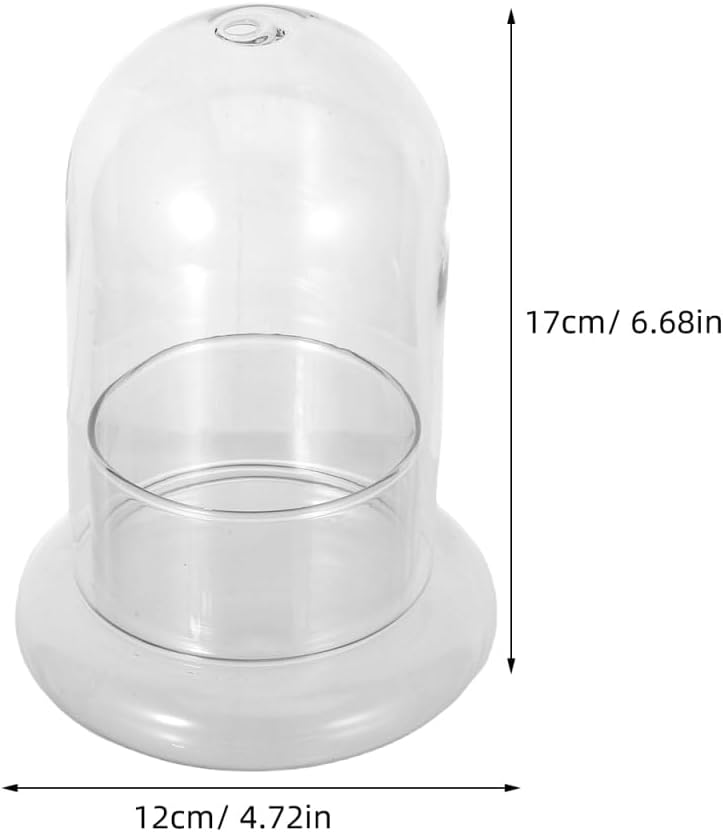 Yardwe 2 Pcs Bell Glass Bottle Cloche Dome Glass Storage Container Dome Cloche with