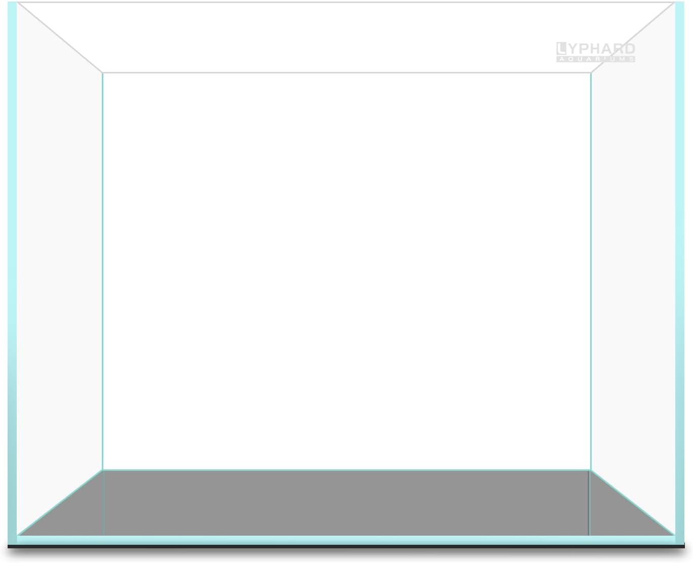 LYPHARD AQUARIUMS 9.5 Gallon Rimless Aquarium, Ultra Clear Glass Low Iron Small Fish Tank for Betta, L15.7×W11.8×H11.8 Inches Thickness 5mm with EVA Foam Mat Included
