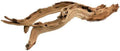 Koyal Wholesale 18” Driftwood Terrarium Decor, Clean California Manzanita Drift Wood Reptile Decor, Driftwood Decor for Home, Desert Reptile Supplies, Small or Large Driftwood Branches for Reptiles