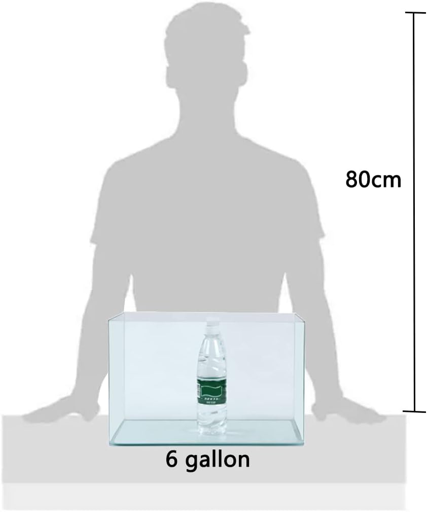 Hot Bending Fish Tank，Rimless Tank, 6 Gallon Aquarium Fish Tank