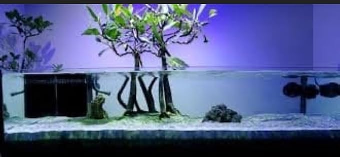 Generic AquaGardens | Red Mangrove - Live Plant (Medium), Green