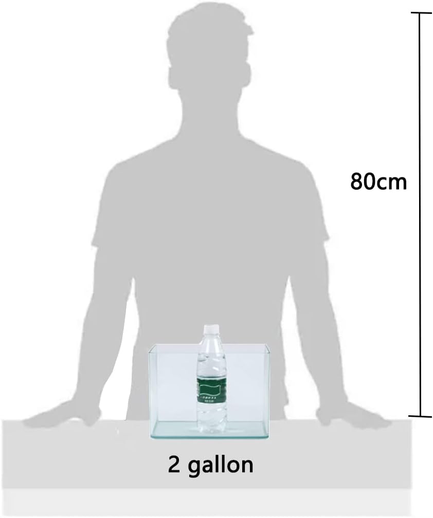 2 Gallon Aquarium Fish Tank，Rimless Aquarium Tank，9.8" L × 7.1" H × 6.3" W