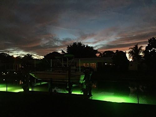 Barnacle Burning Lamps & Saltwater Approved 14,000 Lumens Each, Brilliant Green Double Lamp Underwater Fish Lights, with 50' Cords (28,000 Total Lumens)