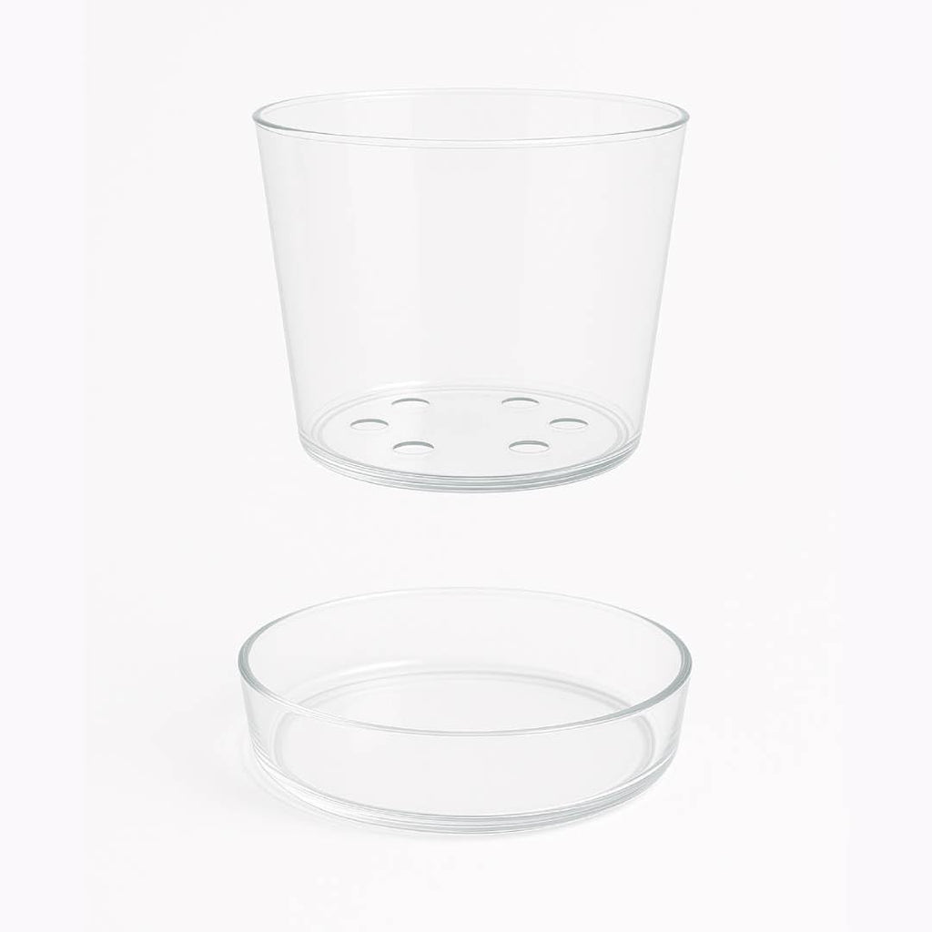 Sheer Glass Pot Planter with Drainage Holes & Tray - Decorative & Modern for All House Plants (6 Inches)