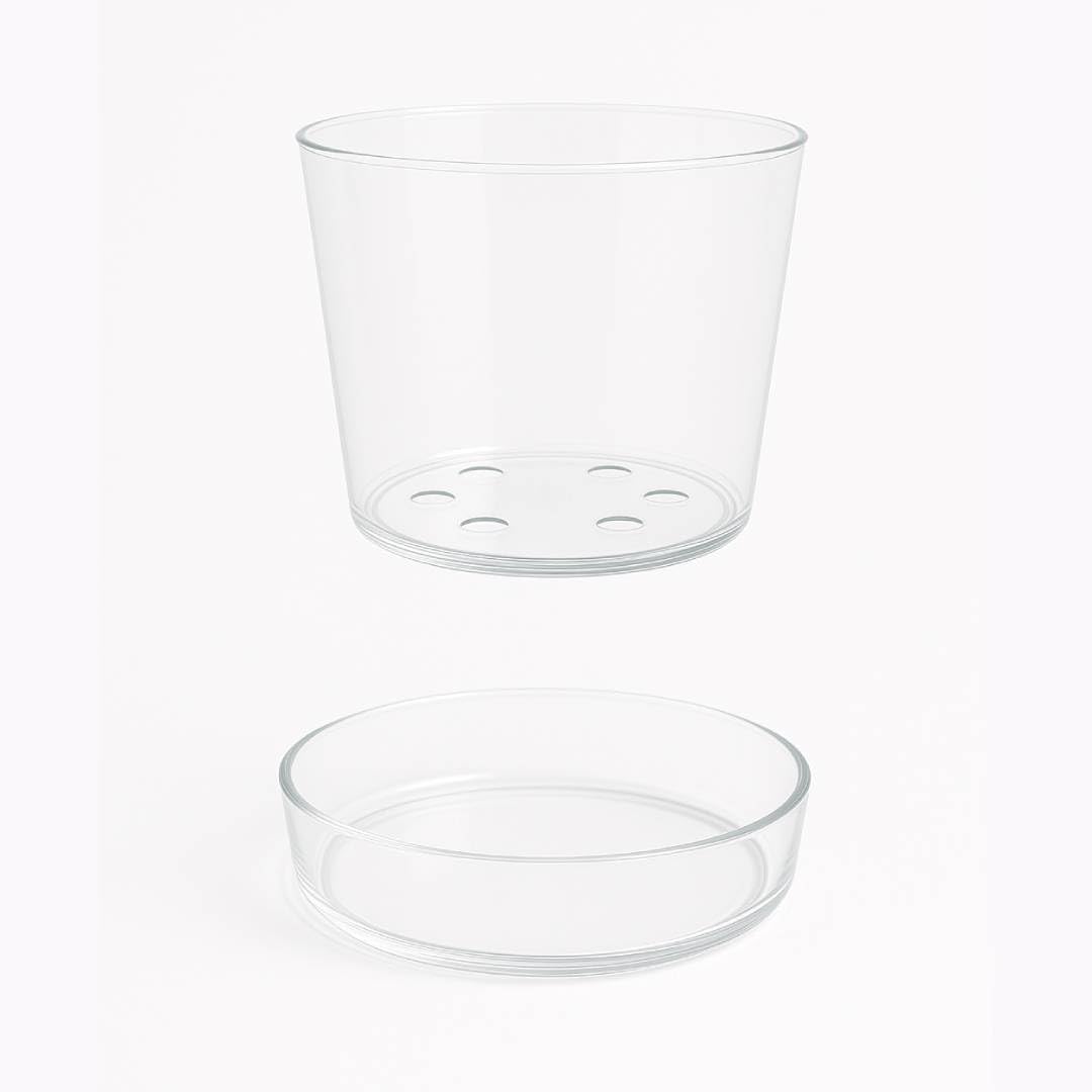 Sheer Glass Pot Planter with Drainage Holes & Tray - Decorative & Modern for All House Plants (6 Inches)