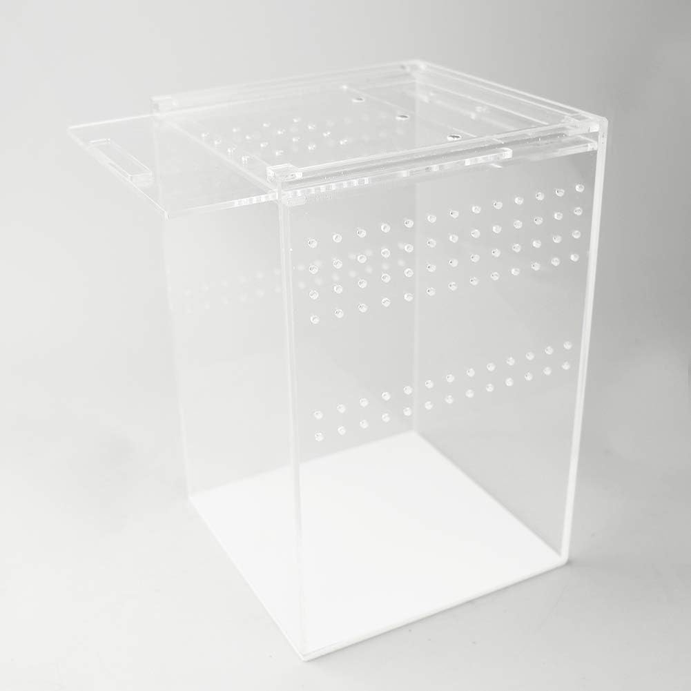 NANEEZOO Magnetic Acrylic Reptile Cage, 6"x6"x9" Tall Enclosure Transparent Reptile Breeding Box Terrarium Tank for Tarantula Scorpion Sling Isopods Invertebrates Insect Mantis