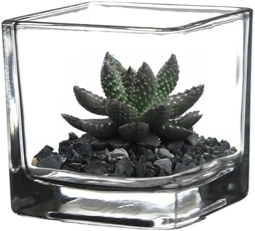 WGVI 6 Pcs Clear Square Glass Tea Light Votive Candle Holders, Width 2", Height 2", Small Cube CandleHolders Container Dish Terrarium Tabletop Ambient Décor