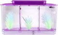Small Fish Isolation Fish Tank, LED Acrylic Aquarium Fish Tank, Transparent Fish Isolation Box with 2 Isolation Plates for Small Fishes Betta Shrimp Guppy (Lightpurple)