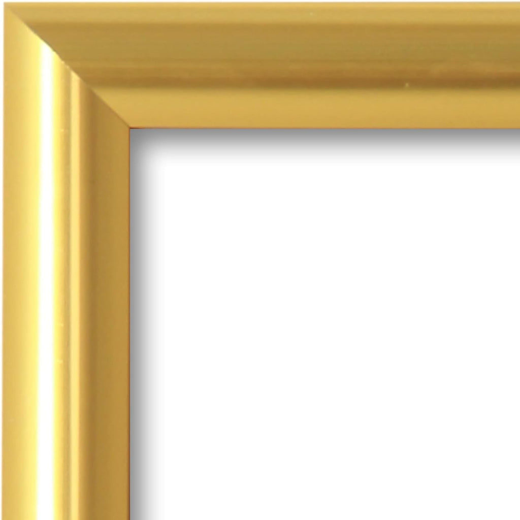 SnapeZo Gold Effect 36x48 Poster Frame, Front-Loading, Wall Mount, Aluminum 1.25" Profile, Professional Series