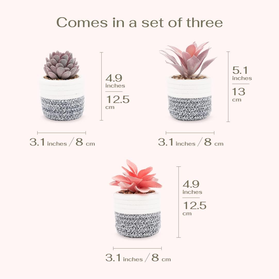 VIVERIE 3Pcs Fake Succulent Plants in Boho Removable Rope Basket Pot Set- Farmhouse Faux Cactus Plant for Home Decor Indoor Bedroom Bathroom Office Desk Shelf Boho Room Kitchen Decor and Accessories
