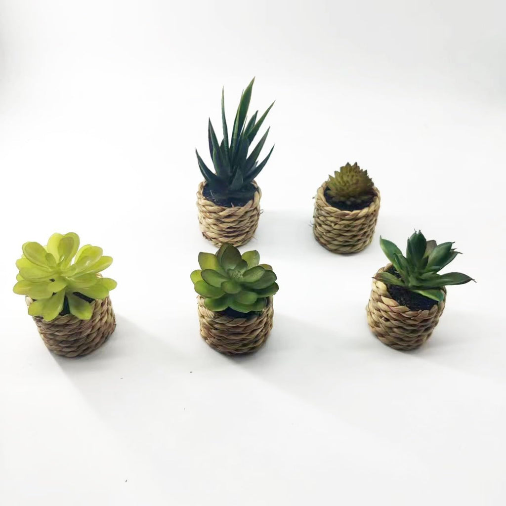 Faux Succulent Plants in Pot, Realistic Resin Clay Mini Succulent Arrangement, Office Desk Decor Stress Relief Prop, Photography Background for Home Cafe (Set of 5)