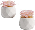 VIVERIE Mini Succulents Plants Artificial in Pots-Rose Pink, Christmas Small Fake Succulents Plants for Home Decor Indoor for Women, White Ceramic Faux Succulents, Set of 2, Gifts for Mom