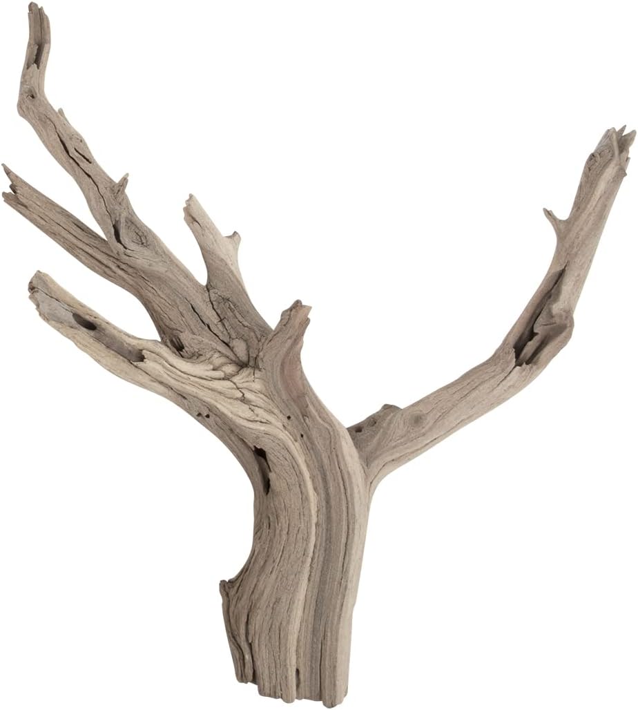 Koyal Wholesale 18” Driftwood Terrarium Decor, Clean California Manzanita Drift Wood Reptile Decor, Driftwood Decor for Home, Desert Reptile Supplies, Small or Large Driftwood Branches for Reptiles