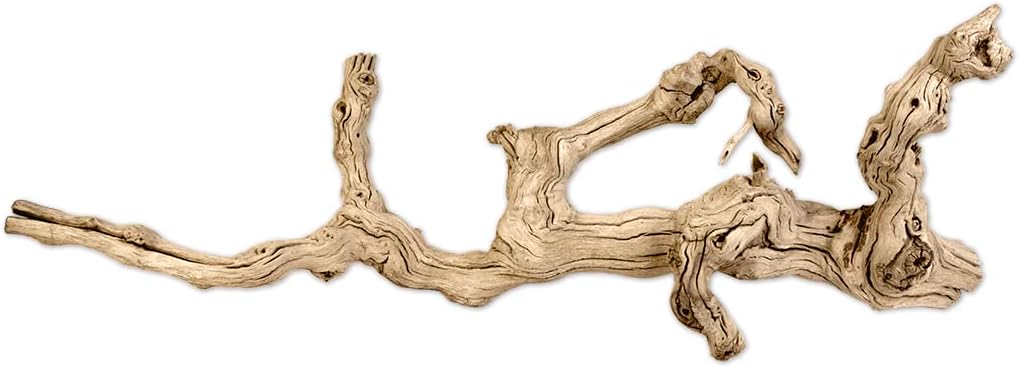 Koyal Wholesale 18" Natural Grapevine, Sandblasted Reptile Wood Branches, Terrarium Grapewood, Reptile Branch, Grapewood Branch, Grapevine Wood for Wedding Centerpieces, Branch Decor
