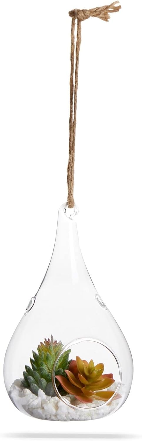 Juvale Teardrop Hanging Glass Terrarium - Air Plant Holder & Succulent Planter - Tea Light Candle Holder & Glass Globe for Air Plants - Pack of 5-3 x 5.5 in