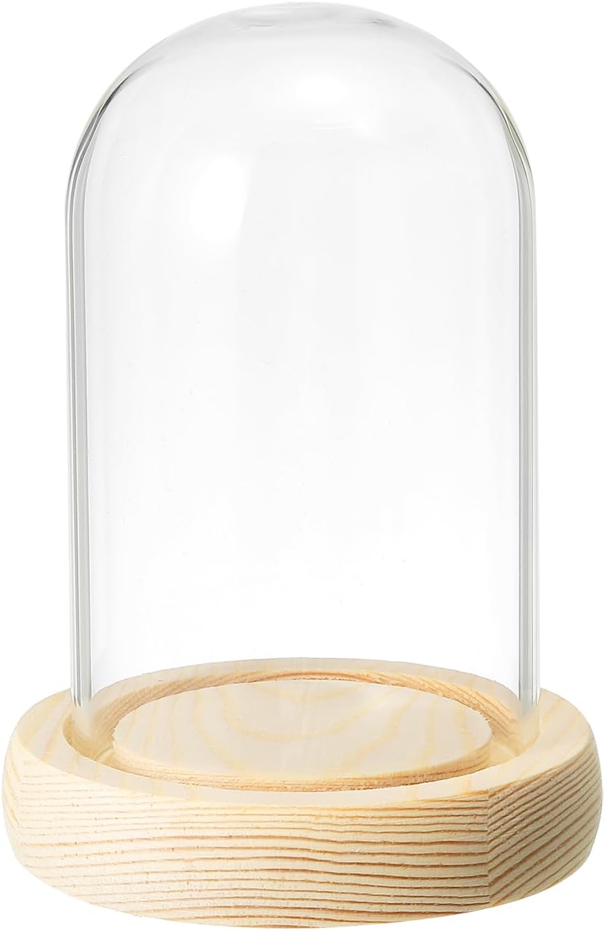 PATIKIL 3.9"x2.4" Clear Cloche Glass Dome, Glass Bell Jar Display Case Tabletop Centerpiece with Wooden Base for Plants Home Decor