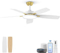 Roomratv Ceiling Fans with Lights,52 inch Smart Ceiling Fans with Dimmable LED Light Compatible with Google Home Alexa App Control(White Gold
