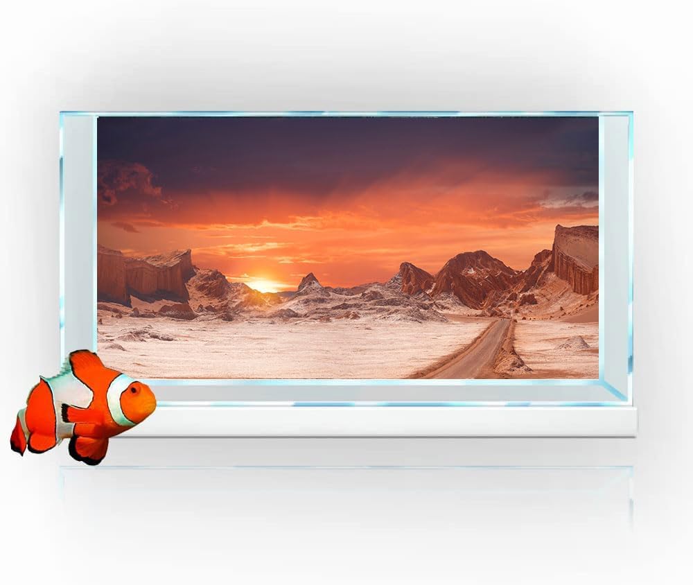 60X24IN Sun and Desert Moon Themed Reptile Habitat on Orange Durable Decorative Background, Terrarium Background with 10EVA Double-Sided Tape