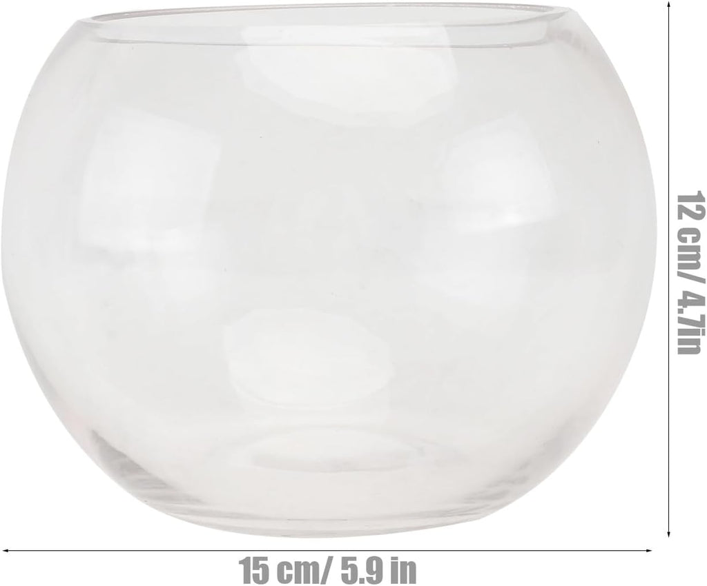 Transparent Glass Hydroponics Vase Smooth Rounded Plant Holder Terrarium Bowl for Home Office Hotel Decorative Floral Planter