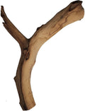 Josh's Frogs Manzanita Wood (Medium)