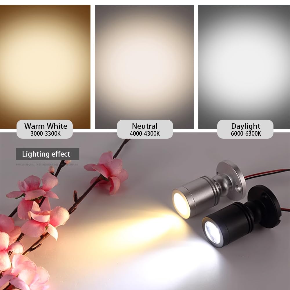 Dimmable 12V LED Mini Spotlights for Display - 1.5W Warm White 3000K, Small Spotlights for Displays with Dimmer, Black - Set of 2