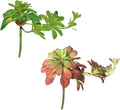 2pcs Artificial Succulent Plants, Realistic Large Fake Succulents, Artificial Hanging Ornaments for Decor
