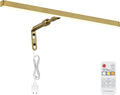Brass Picture Lights for Paintings Plug in, 16" 4W Adjustable LED Gold Picture Light Art Light, Remote Control Gallery Painting Wall Light for Picture Display Dartboard Art Work (Gold)