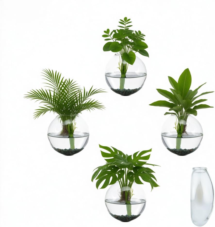 4 pcs Glass Wall Hanging Planter, Oval Terrarium Vase, Propagation Station for Hydroponics, Indoor Plants, Home Office Decor (Medium)
