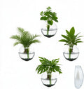 4 pcs Glass Wall Hanging Planter, Oval Terrarium Vase, Propagation Station for Hydroponics, Indoor Plants, Home Office Decor (Medium)